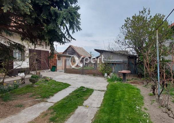 Na predaj stavebný pozemok 3057 m2 so starším RD v obci Topoľníky/99 999,- €