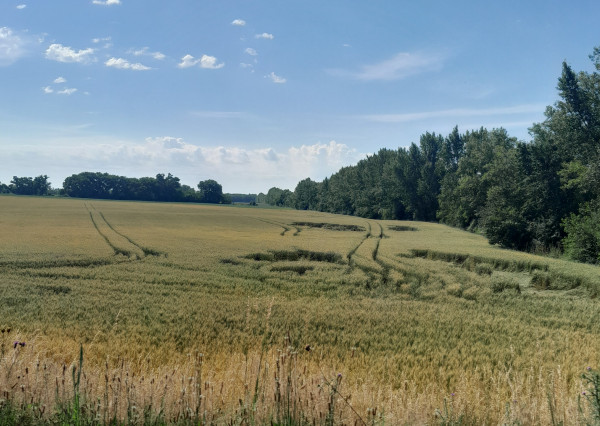 Predaj pozemok o rozlohe 3509m2 na priemysel v obci Oľdza okres Dunajská Streda.